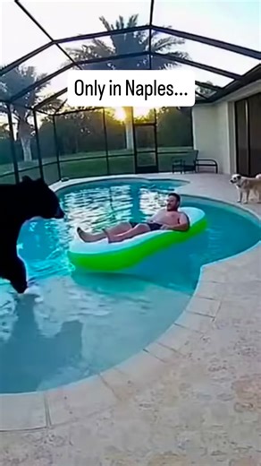 Naples Florida Life on Instagram: "There are moments in Southwest Florida that feel almost unreal, the kind of scenes people outside this coast assume are exaggerated until they witness them for themselves. A quiet backyard morning, sunlight breaking through the screened lanai, and a man floating in complete relaxation becomes something entirely different the second Florida’s wildlife decides to rewrite the script. Encounters like this happen in an instant. One moment is calm, predictable, famil