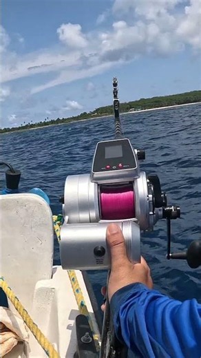 Penn Fathom 80 electric reel in action Spotfin Snapper on !! #pennfathomelectricreel #fishon