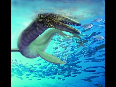 Canadian Lake Monster, Red Heifer, Alien Big Cats