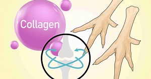 Eat chicken feet properly to supplement collagen that is good for the skin and joints