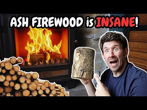 I Burned Ash Firewood in My Fireplace and THIS Happened!