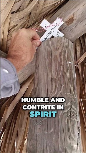 #266 "Has not my hand made all these things" 🌴✝️🙏 #takeupyourcross #jesuschrist #christ #jesus