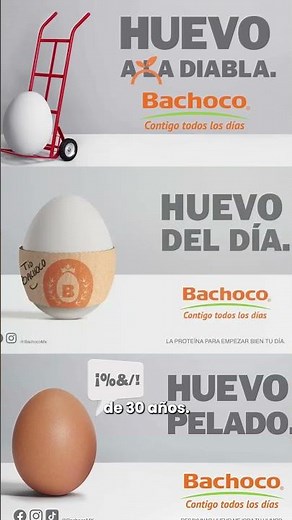 ¡La publicidad de Bachoco es una de las mejores de todos los tiempos!