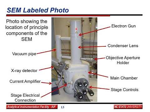 Practical SEM: Electron Optics