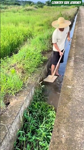 🧑‍🌾🌾 Irrigation Channel Clearance: Removing Overgrown Weeds To Restore Canal Water Flow