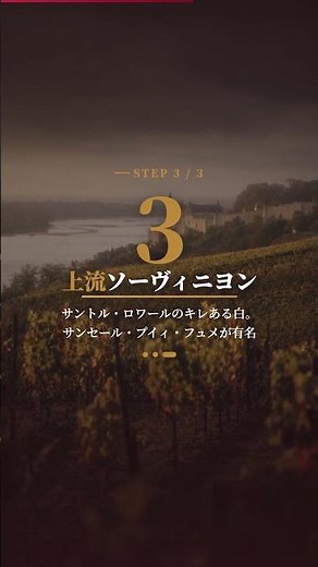 【ソムリエ試験】ロワールは“川の流れ”で覚える！河口→中流→上流で主役品種が変わる