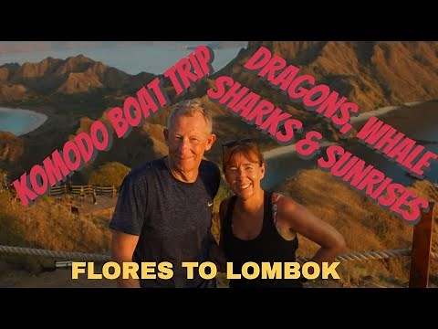 Flores to Lombok Boat Tour – Komodo Dragons, Whale Sharks & Manta Point