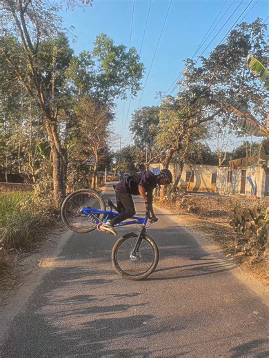 Epic Cycling Stunts: Freestyle Adventure