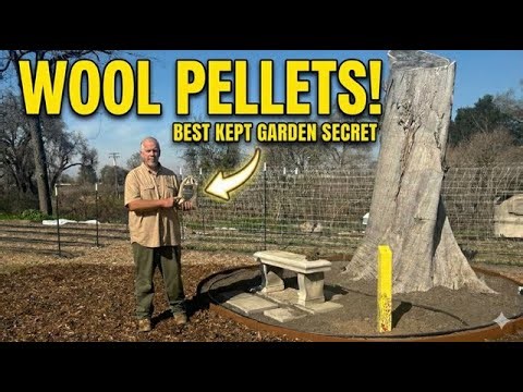 Container Gardening Fails? Here's What's Wrong