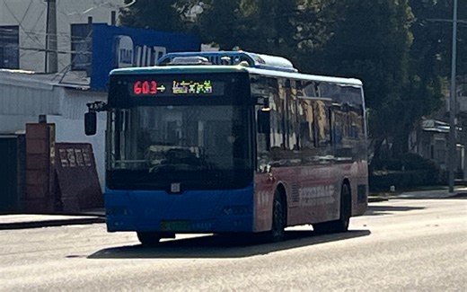 【城郊也精彩101】【无锡公交】603路 杨市客运站→解放西路（县前街） 第一视角POV