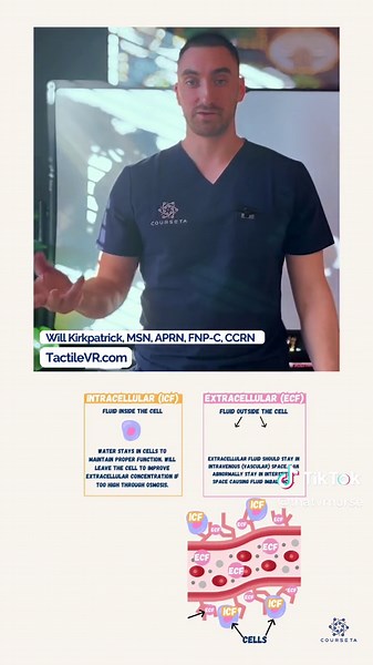 Intracellular vs Extracellular Fluid Spaces. IV Fluids for Nursing (Part 1) #nursing #nursingschool #nursingstudent #studentnurse #ivfluids #isotonic #hypotonic #hypertonic #anatomy #medsurg #nursingnotes