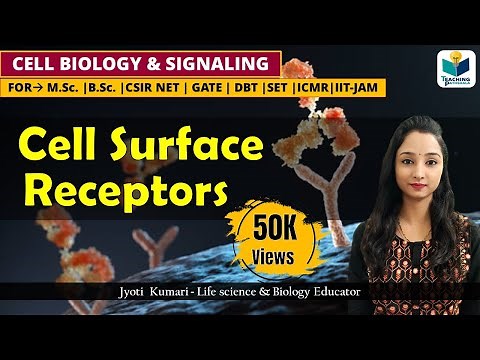 CELL SURFACE RECEPTORS || CELL SIGNALING || CSIR NET || LIGAND AND RECEPTOR (PART-3)