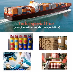 [Hot Item] Air/Sea Shipping Service From China to Asia India Chennai, Bombay, New Delhi Cargo Door to Door Service