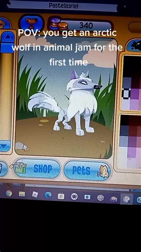 Arctic Wolves and Their Unique Headdresses