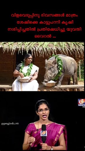 This video was created using AI. This is not an actual event, it is a figment of imagination.