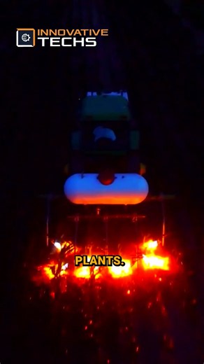Eco-friendly weed control: See the tractor flamethrower in action!