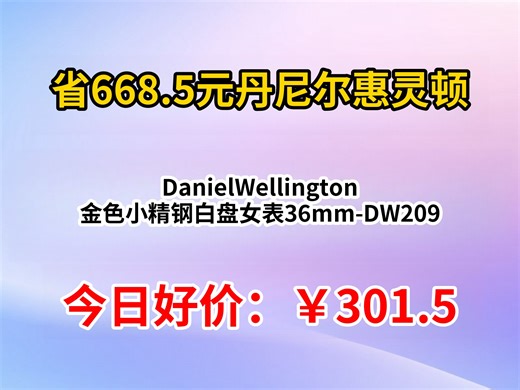 DanielWellington 金色小精钢白盘女表36mm-DW209