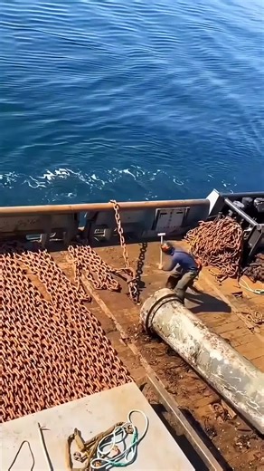 #creatorsearchinsights #ShipLife #SailorLife #SeaLife #OceanVibes