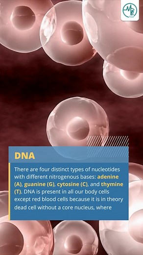 Introduction to Genetic Material in Our Body | Medical Channel Asia | Facebook