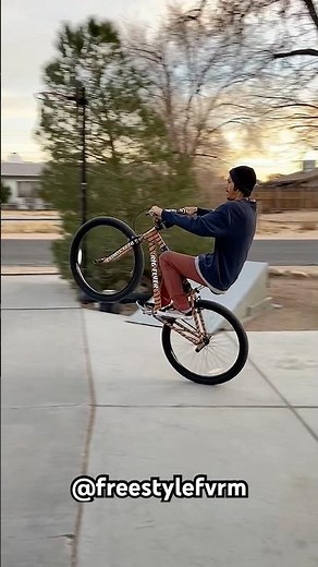 29” BMX Bike Life - Chris Furmage