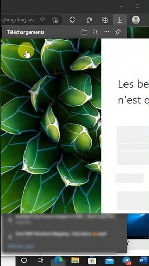 Changer Fond d'écran WINDOWS au Quotidien avec Bing #shorts