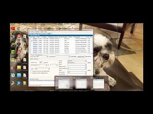 AMS360 Activity Grouping