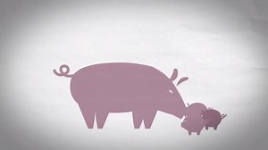 519K views · 6.7K reactions | This is how we're going to end factory farming. | Mercy For Animals | Facebook