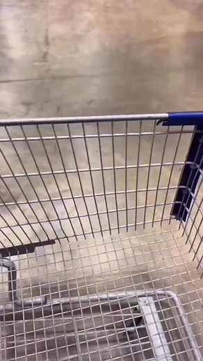 3.1M views · 19K reactions | If that’s a Nutcracker then……藍藍藍藍 | Chaz Bruce | Facebook