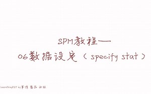 [LearnthingPSY独立制作] SPM中字教程06