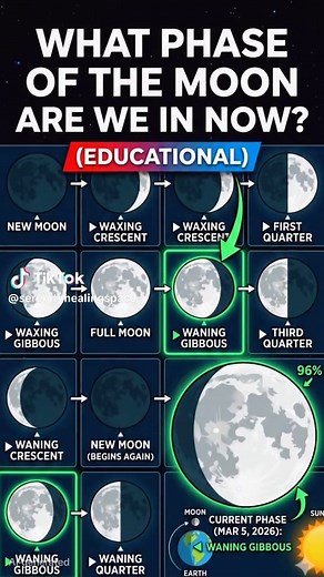 Tracking the Moon's Journey: A Guide to Lunar Phases Explore the dynamic cycle of the Moon with this comprehensive guide to its principal phases and their timing. #LunarCycle #MoonPhases #Stargazing #Astronomy #ScienceEducation