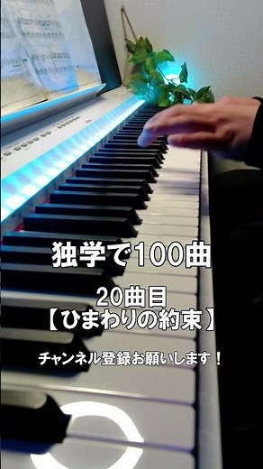 【ピアノ初心者】20曲目「ひまわりの約束」 #shorts