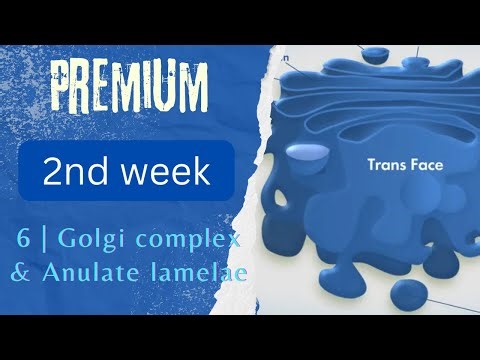 6 | Golgi complex & Anulate lamellae | 💎 Dr. Premium