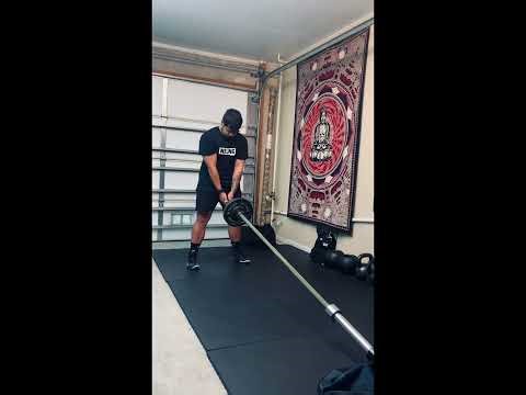 Lotus Training: Landmine Straddle Squat