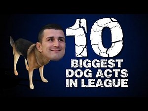 10 Biggest Dog Acts In Rugby League