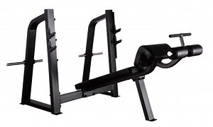 [Hot Item] Precor Body Building Equipment with Decline Chest Bench (SD24)