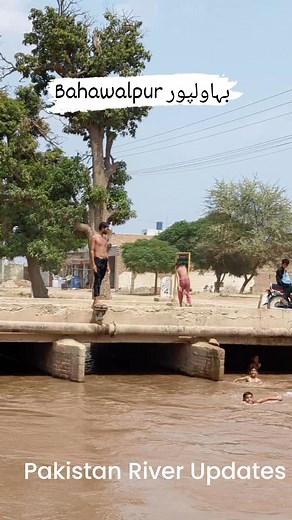 667K views · 10K reactions | A beautiful moment from rural life kids...