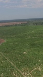 Our irrigation systems aren't just for farmers. Hear from livestock farmers who rely on Reinke to improve their production. 🐄🌾 #TestimonialsReinke #LivestockEfficiency #Reinke | Reinke Africa