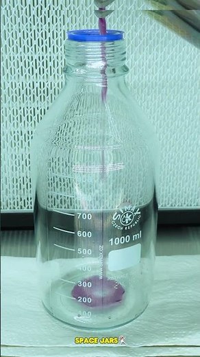 How to make Mycology Petri Dishes | No Condensation
