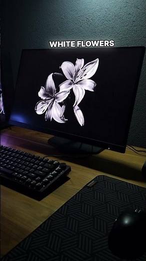 Best Wallpaper Engine Black/White Edition pt1