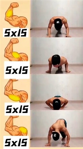 home biceps exercises / biceps workout #motivation