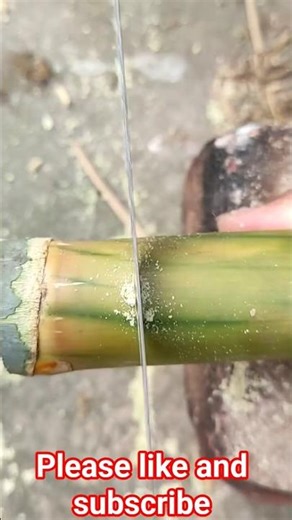 Building a Bamboo House from Scratch Full Process #Shorts