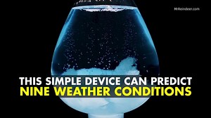 Not your average water bottle