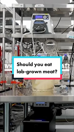 Two cultivated-meat companies — Eat Just and Upside Foods — recently got full approvals from the Department of Agriculture to sell their lab-grown chicken in the U.S, months after the FDA confirmed it was safe to eat. #news #foodtok #cultivatedmeat #science #yahoonews