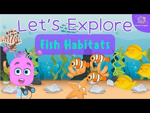 Let's Explore Fish Habitats for Kindergarten | EYFS