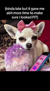 Another Tinder FAIL…Awkward 🥴 | Destiny’s Chis