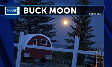 Families of passengers killed in January midair collision say Army isn’t taking responsibility, according to new letter - Local News 8