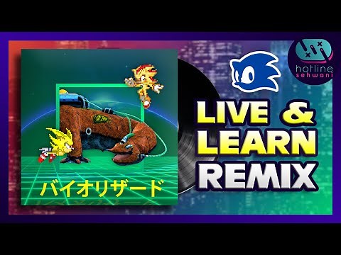 LIVE AND LEARN as an 80s Song Sonic Adventure 2 Hotline Sehwani Remix