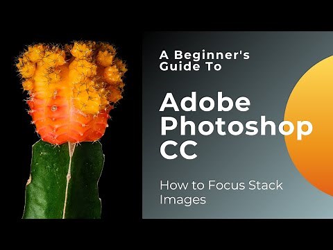 How to Focus Stack Images in Photoshop CC