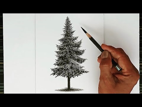 How to draw a pine tree with pencil step by step/ Drawing for beginners.