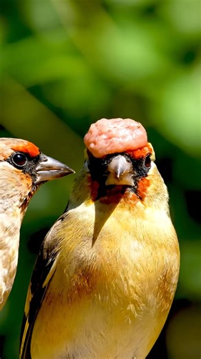 Exploring the Fascinating World of AI and Animals